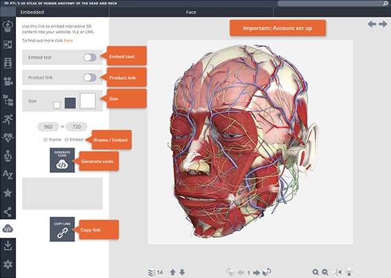 human anatomy atlas for windows desktop discount coupon