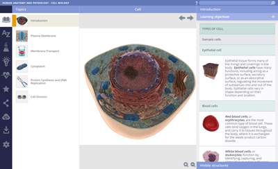 interactive physiology web version